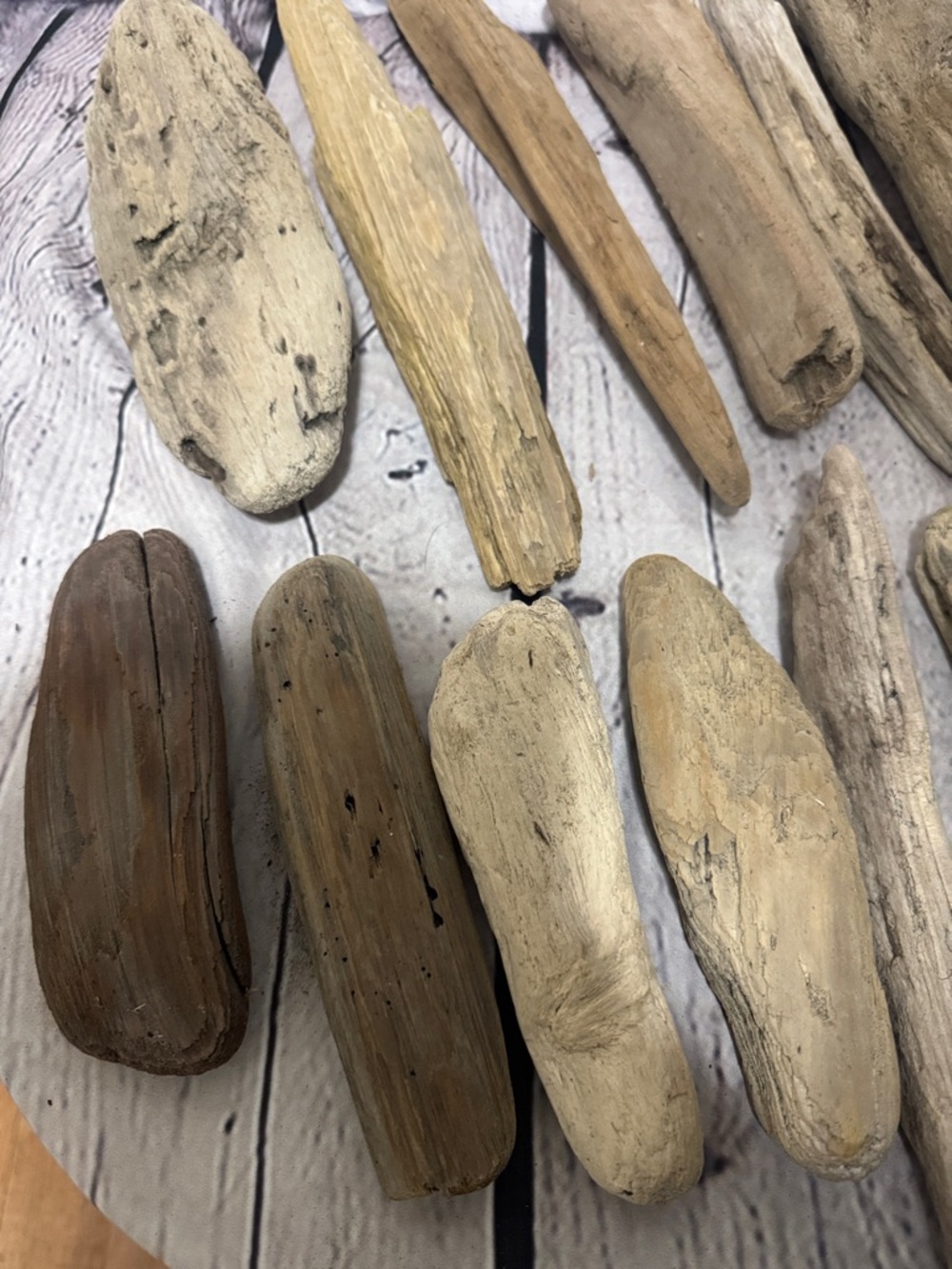 20 pieces PNW Pacific Ocean Grays Harbor Natural Driftwood Home Accent Bundle - Picture 13 of 17